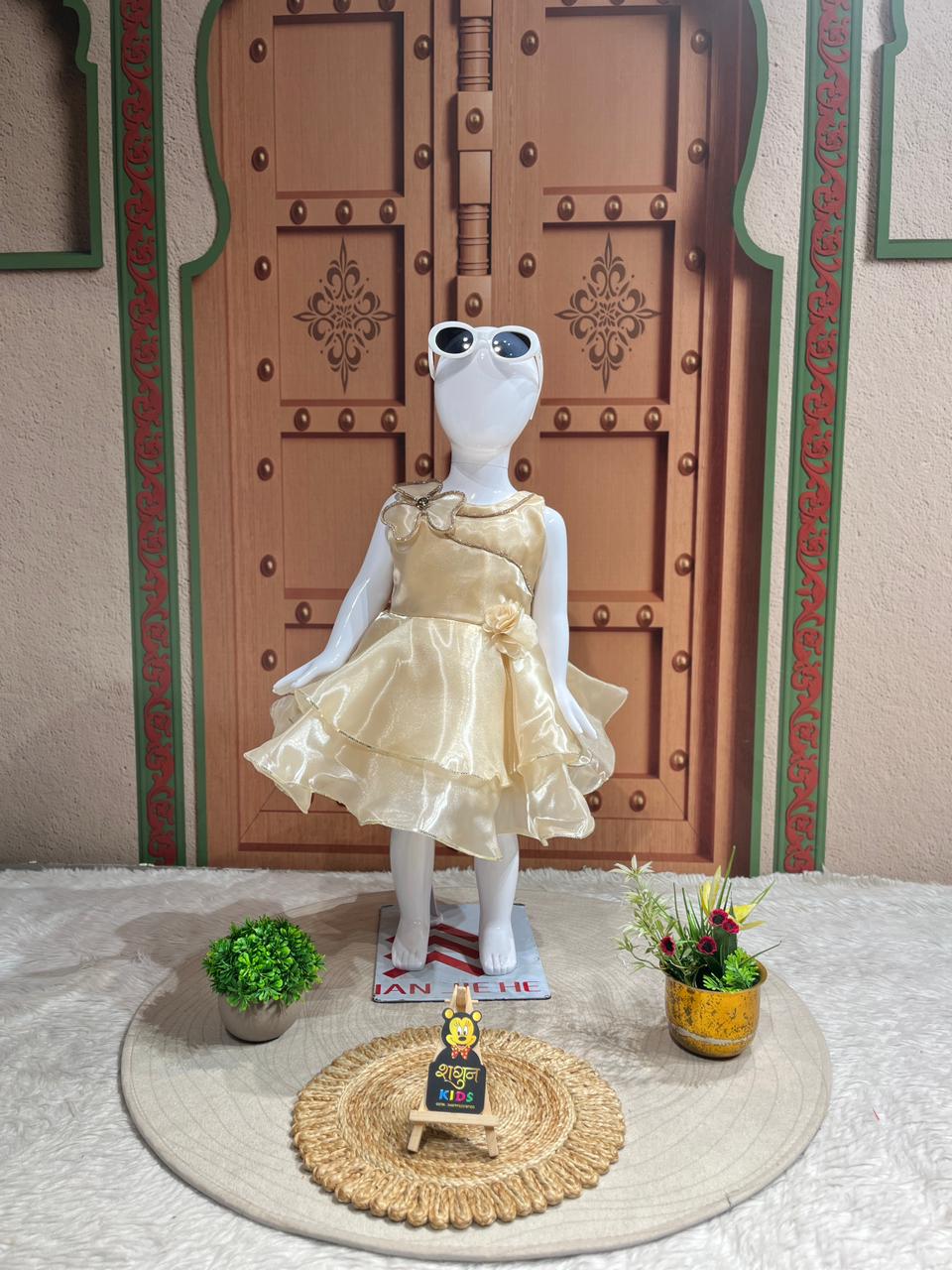 SHAGUN FASHION Princess Elegance Party Frock for Girls