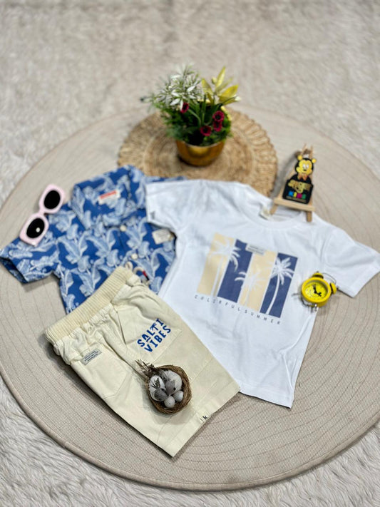 Stylish Boys Summer Co-Ord Set With Printed T-Shirt By SHAGUN FASHION