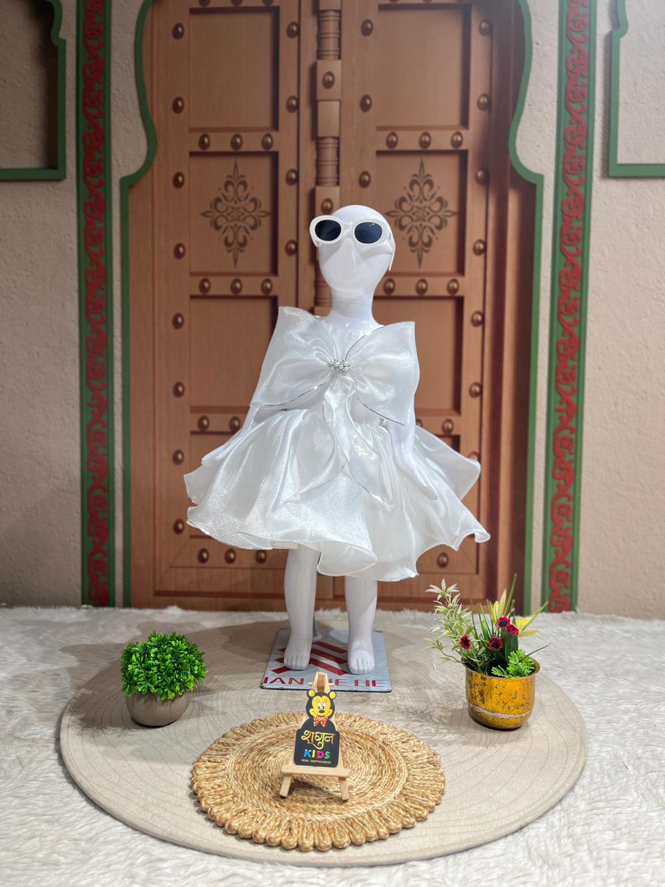SHAGUN FASHION Princess Elegance Party Frock for Girls